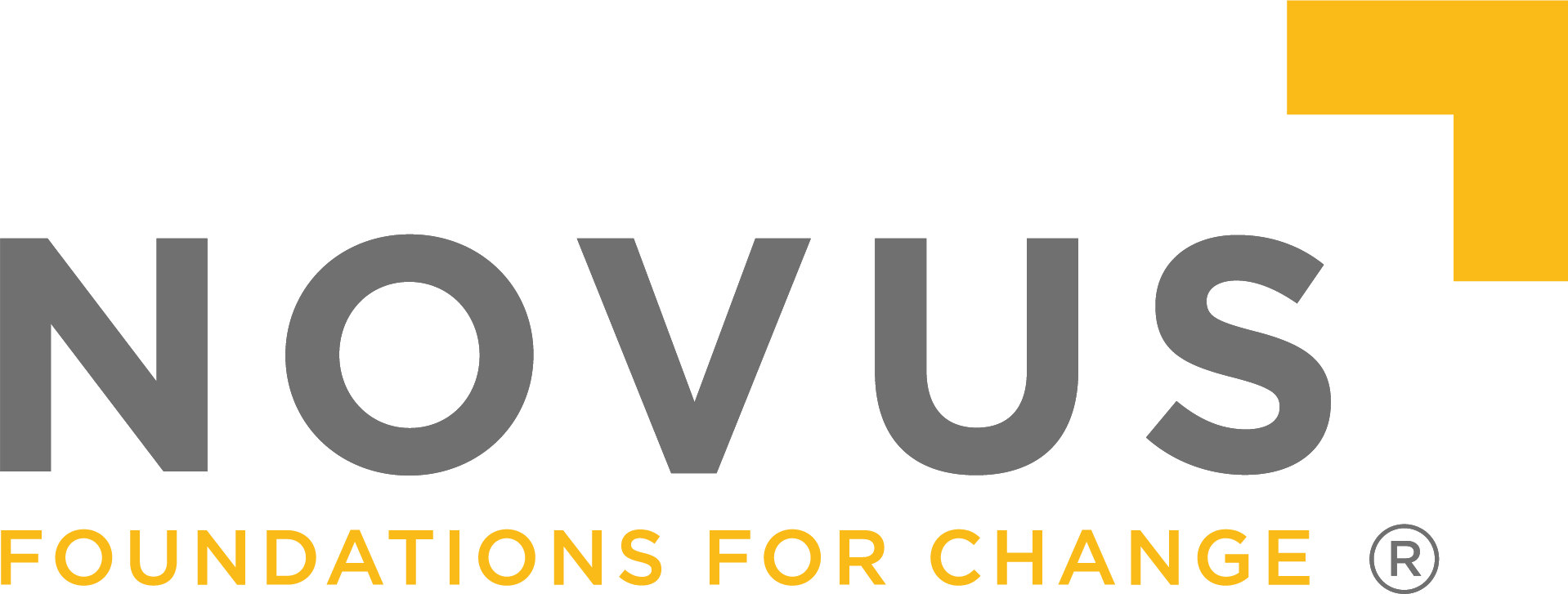 Novus logo - Foundations For Change